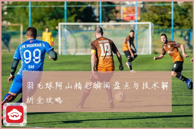 羽毛球阿山精彩瞬间盘点与技术解析全攻略
