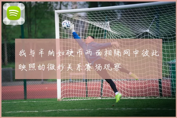 我与辛纳如硬币两面相隔网中彼此映照的微妙关系赛场观察