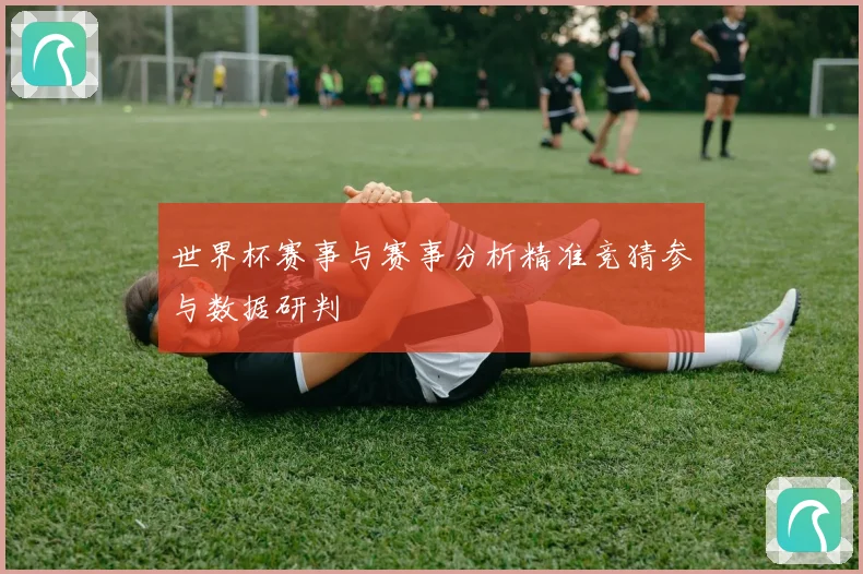 世界杯赛事与赛事分析精准竞猜参与数据研判