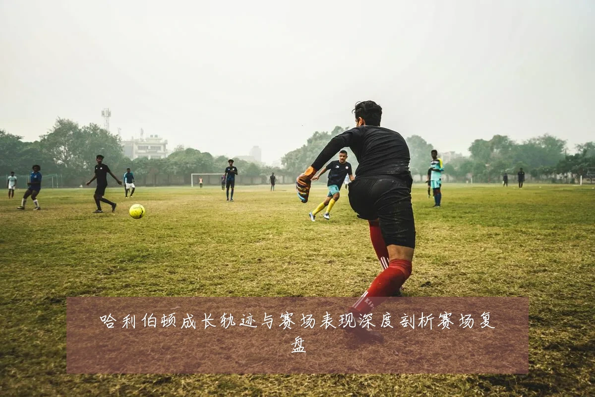 哈利伯顿成长轨迹与赛场表现深度剖析赛场复盘