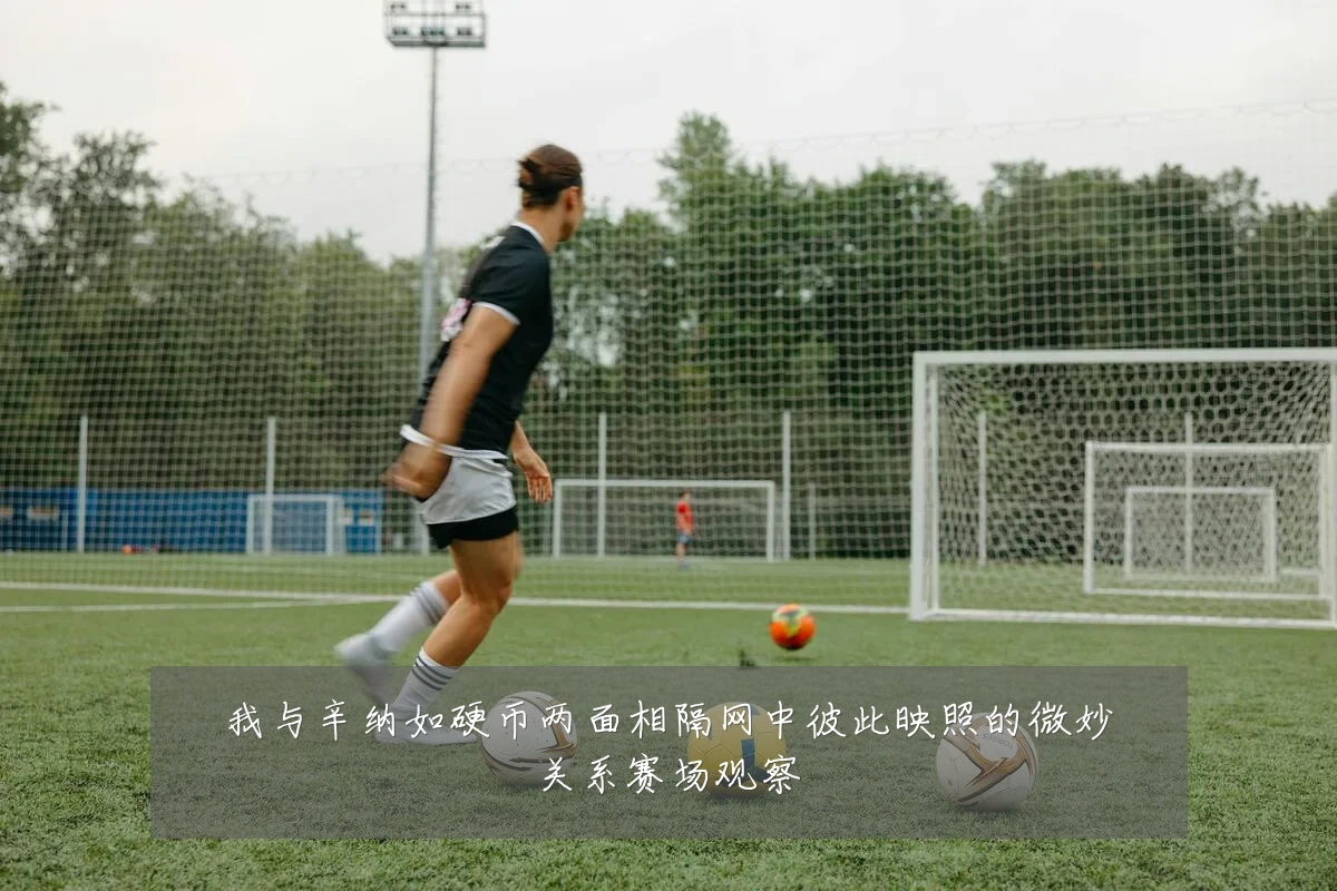 我与辛纳如硬币两面相隔网中彼此映照的微妙关系赛场观察