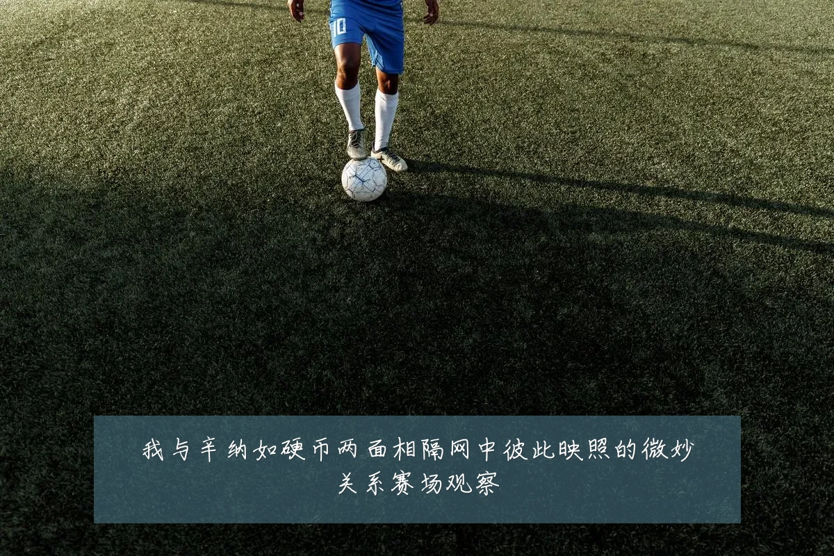 我与辛纳如硬币两面相隔网中彼此映照的微妙关系赛场观察