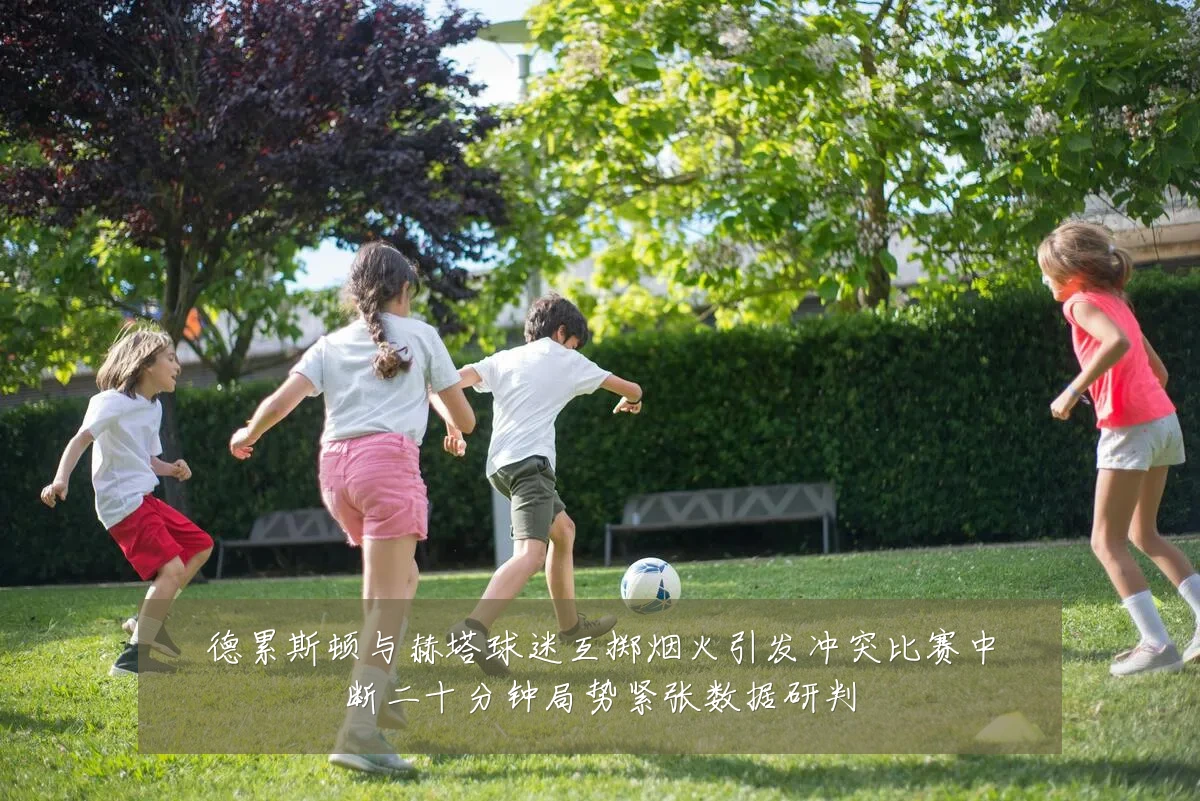 德累斯顿与赫塔球迷互掷烟火引发冲突比赛中断二十分钟局势紧张数据研判